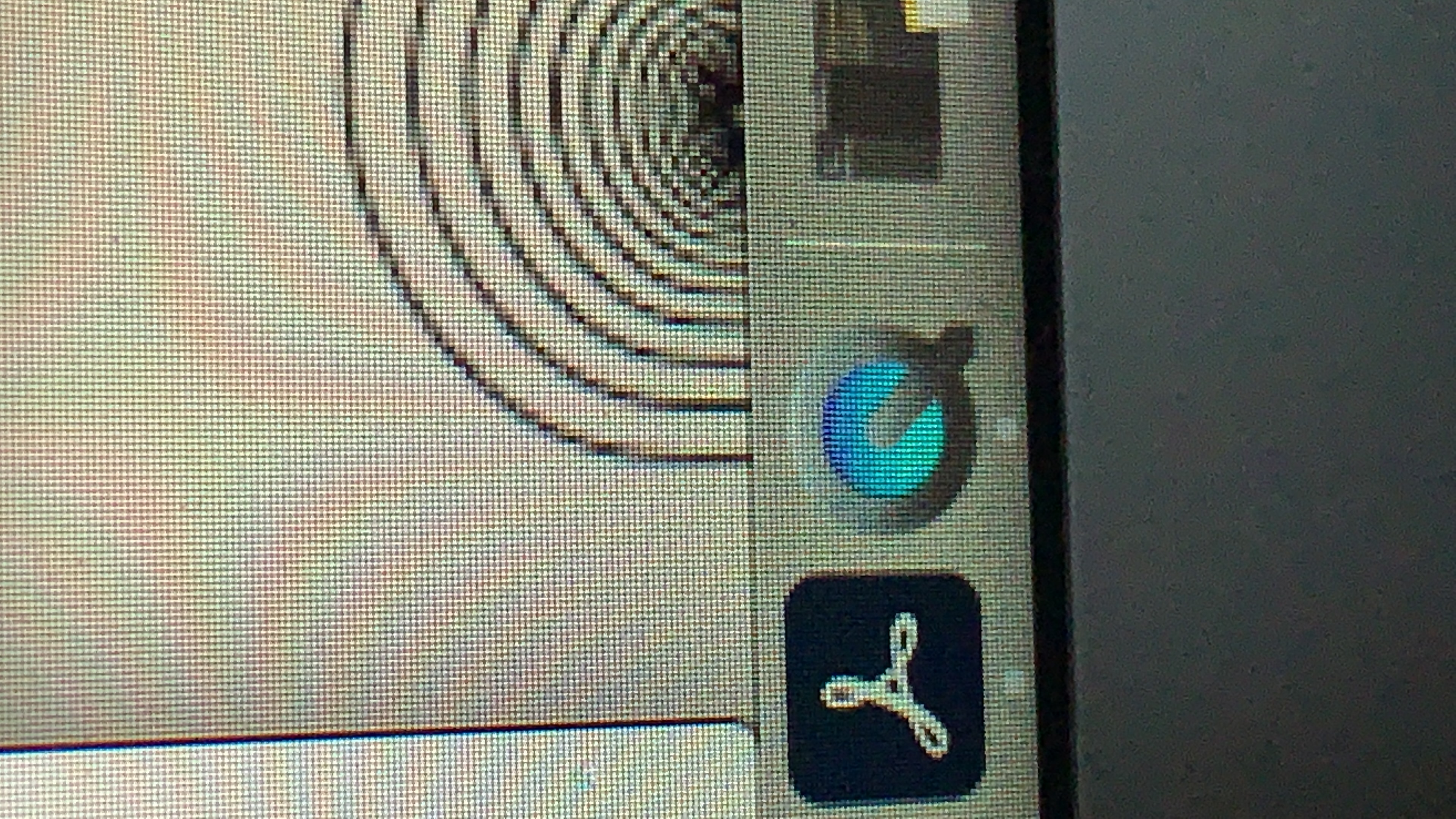 phallus
