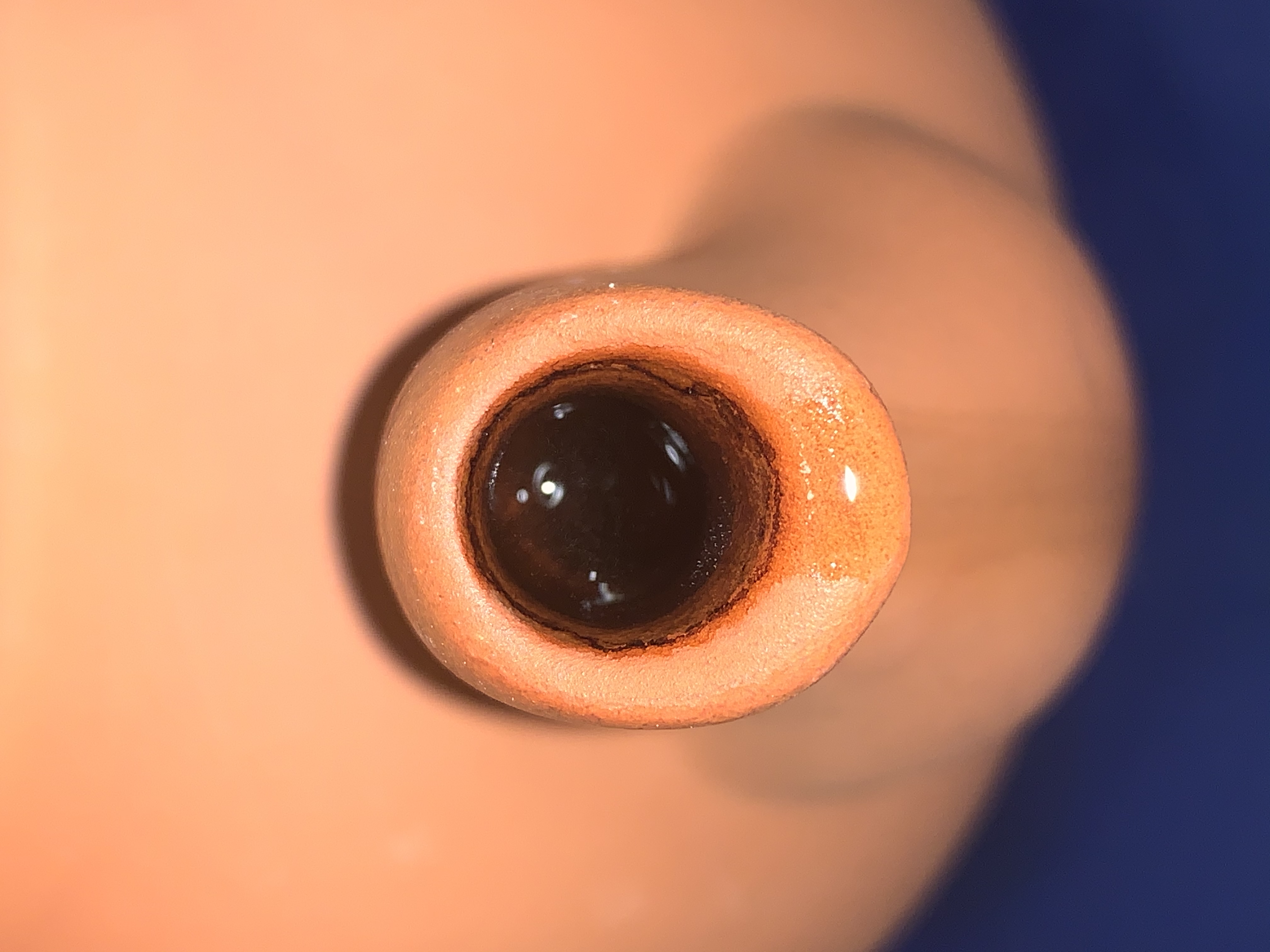 phallus